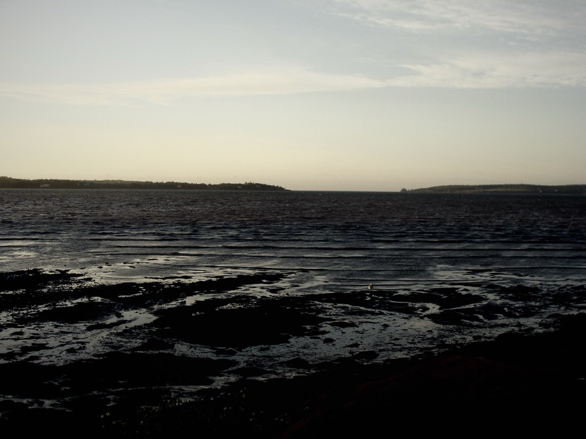 Rocky shoreline at low tide under an open sky